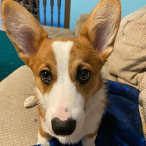 Meet your Posher, Scott